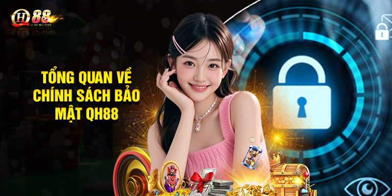 Tổng quan chung về chính sách bảo mật QH88