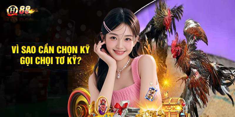 QH88 hướng dẫn chọn giống gà