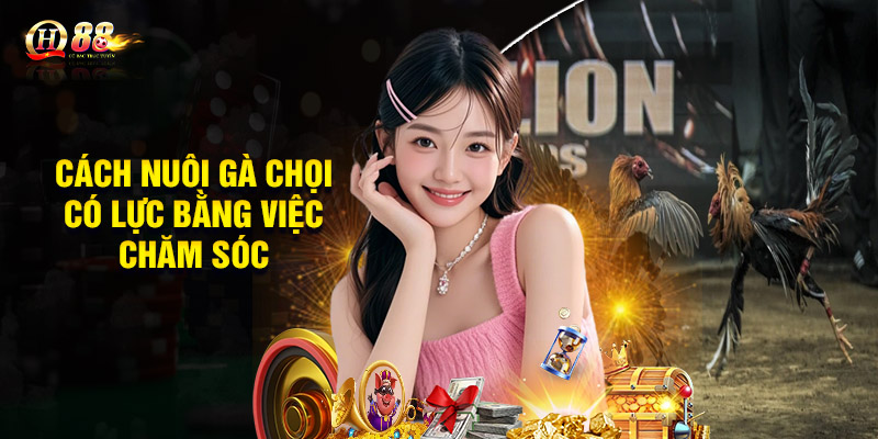 Cách chọn gà chọi tơ theo từng giai đoạn